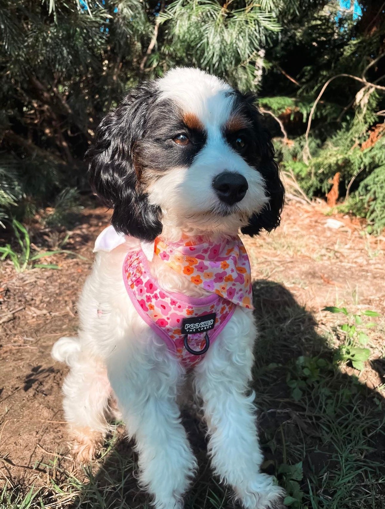 Blossom Burst Harness