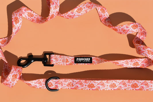 Rosie Rodeo Leash